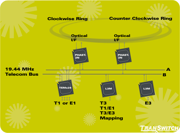 TranSwitch IP Communications, Multicore Processor